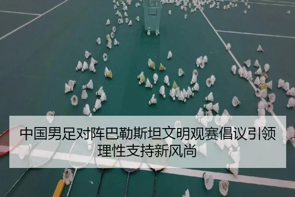 中国男足对阵巴勒斯坦文明观赛倡议引领理性支持新风尚